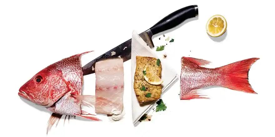 Balık Tüketimine Başlamak İçin Doğru Balık Seçimi ve Pişirme Yöntemleri Rehberi