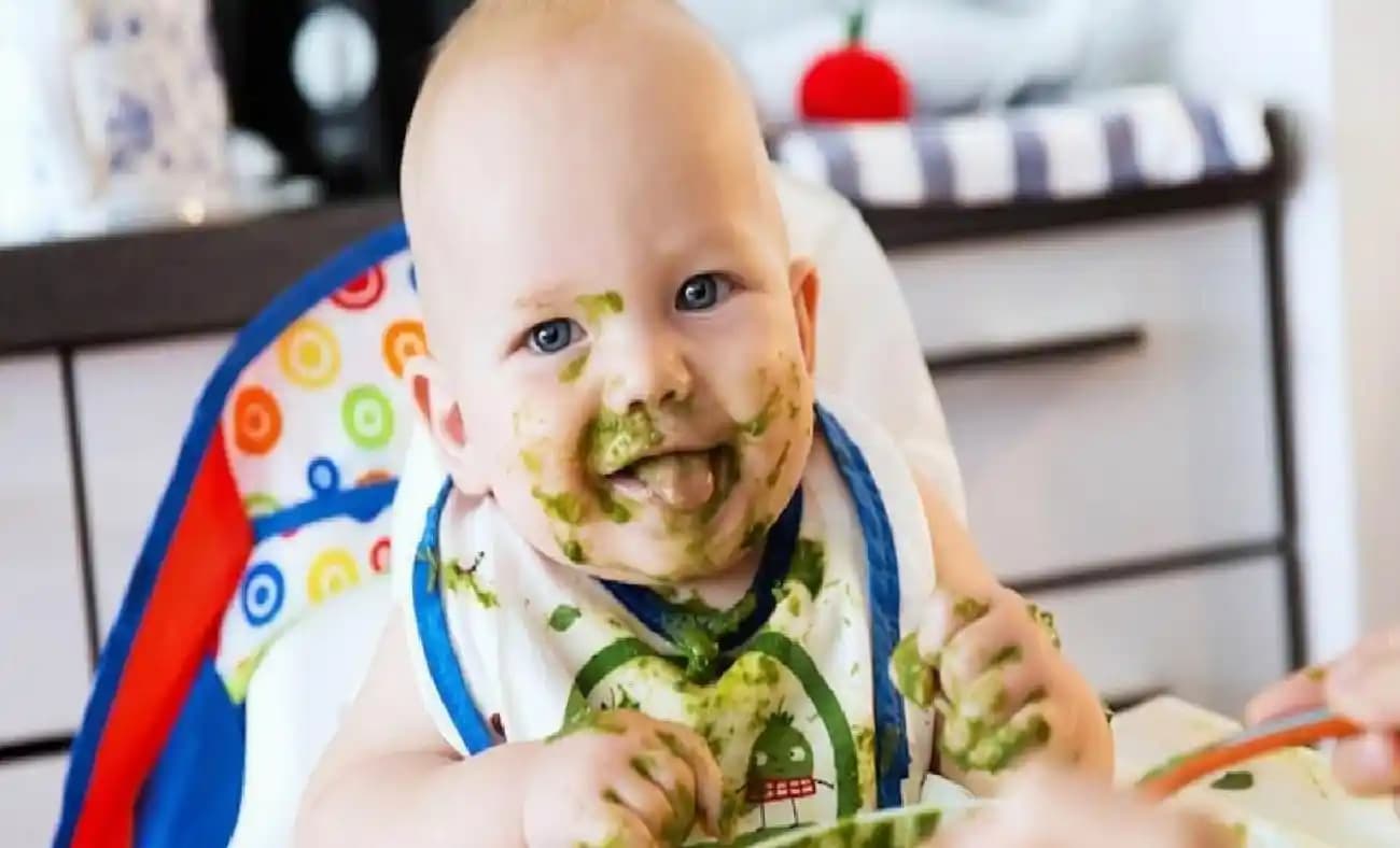 Bebek Mama Sandalyesi Almanın Avantajları ve Ekonomik Seçenekler Üzerine Analiz