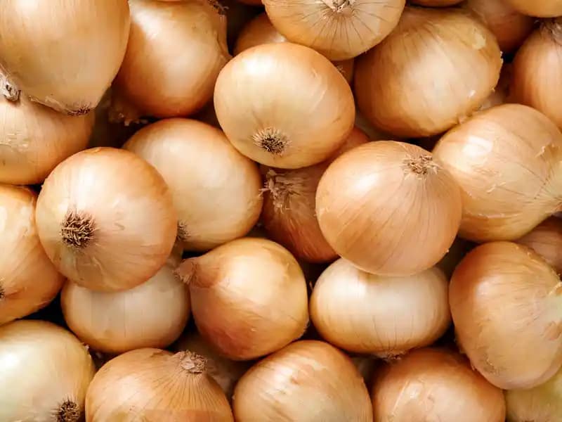 Fazla Sarı Soğanları Değerlendirme Yöntemleri ve Doğru Saklama Teknikleri