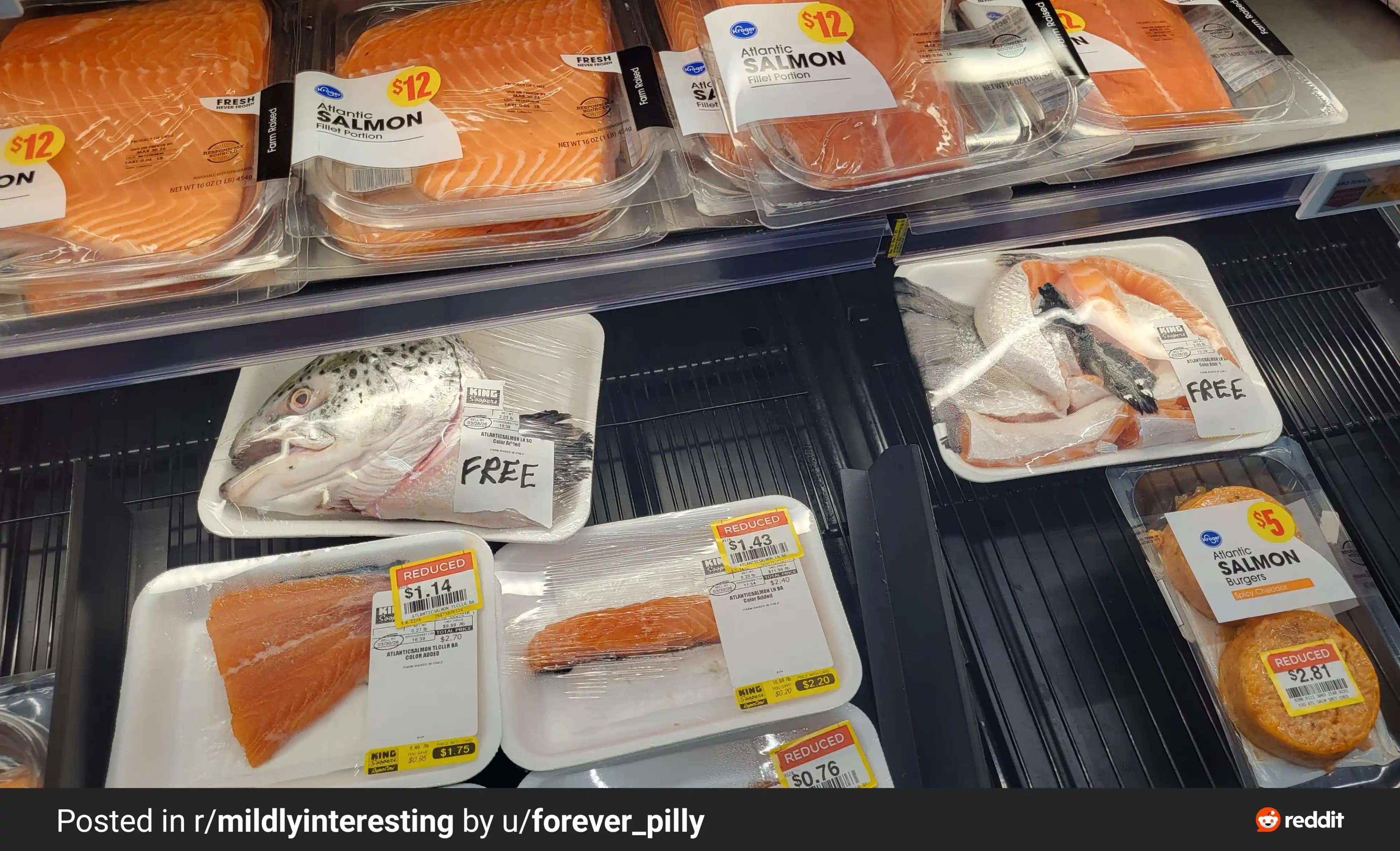 Marketlerde Ücretsiz ve İndirimli Balık Artıkları: Kullanım Alanları ve Gıda İsrafı Önlemleri