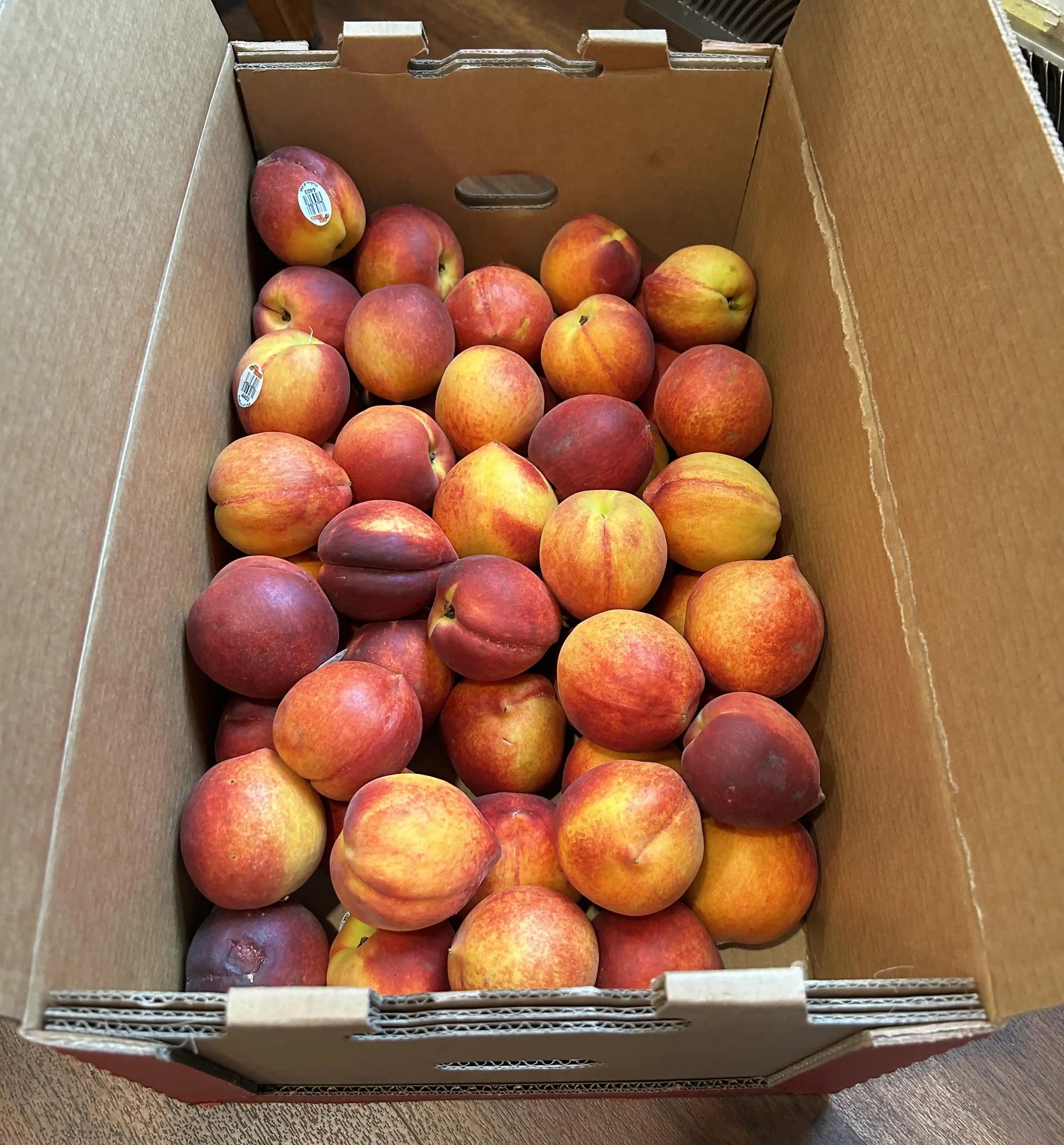 Toplu Meyve Alımında Ekonomik ve Sürdürülebilir Saklama Yöntemleri ve Uygulamaları