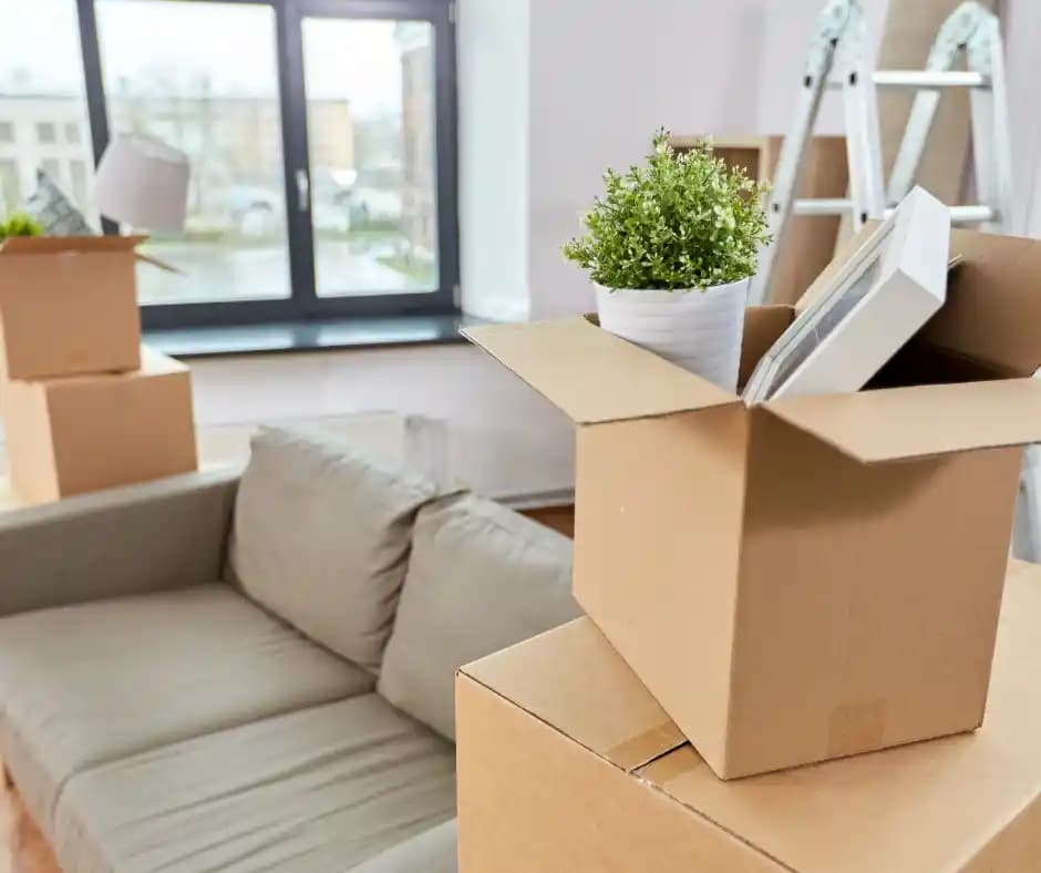 Yeni Daire İçin Ekonomik Ev Eşyası Temin Yöntemleri ve Tasarruf İpuçları