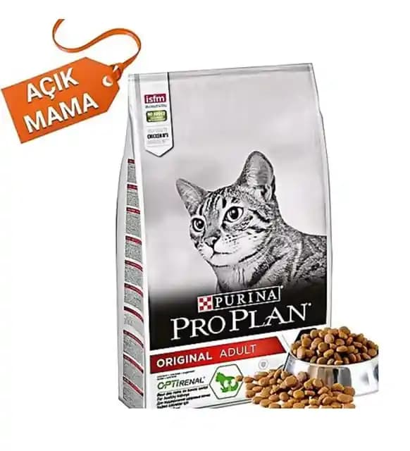 1 Kg Kedi Maması Seçerken Dikkat Edilmesi Gerekenler ve En İyi Markalar