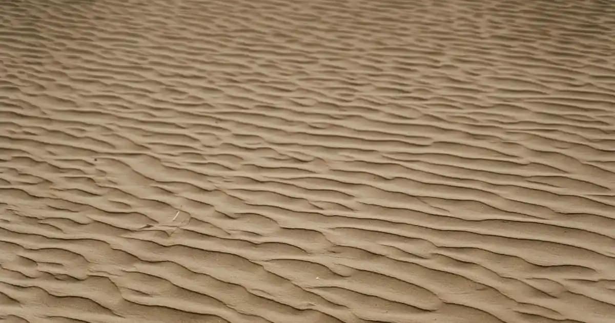 A101 Çiçek Soğanları ile Bahar Renklerini Ev ve Bahçenize Taşıyın