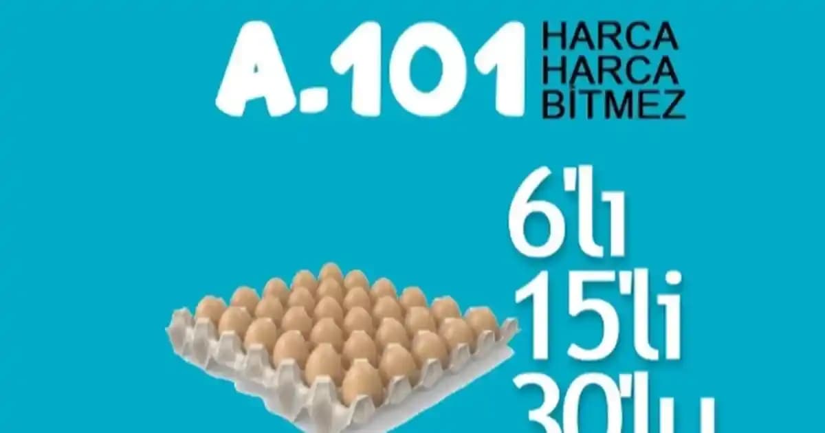 A101’de Koli Yumurta Almanın Avantajları ve Ekonomik Alışveriş İpuçları