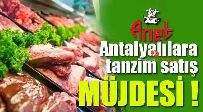 Antalya’da Et ve Tanzim Satış Fiyatları Güncel Durum ve Piyasa Analizi