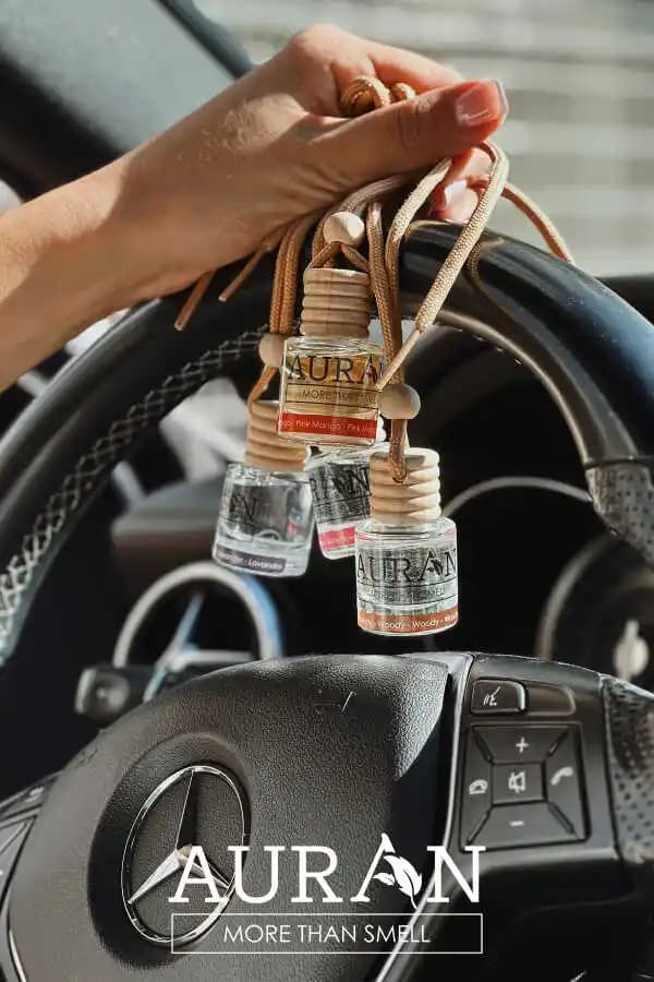 Arabalar İçin Kalıcı ve Doğal Kokular Yaratma Rehberi ve Temizlik İpuçları
