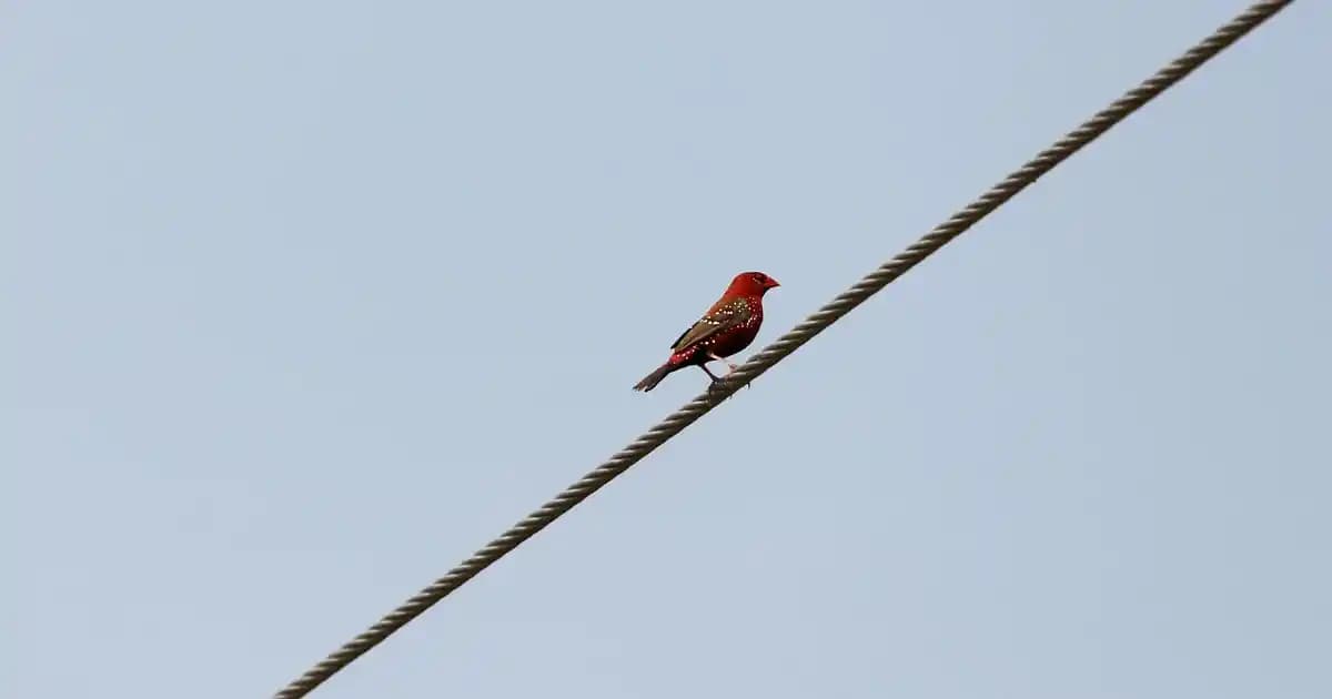 Arko Men Tıraş Kolonyası: Erkek Bakımında Ferahlatıcı ve Kalıcı Koku Çözümü