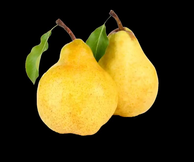 Armut Deveci Nedir ve Marketlerdeki Yeri Hakkında Detaylı Bilgi