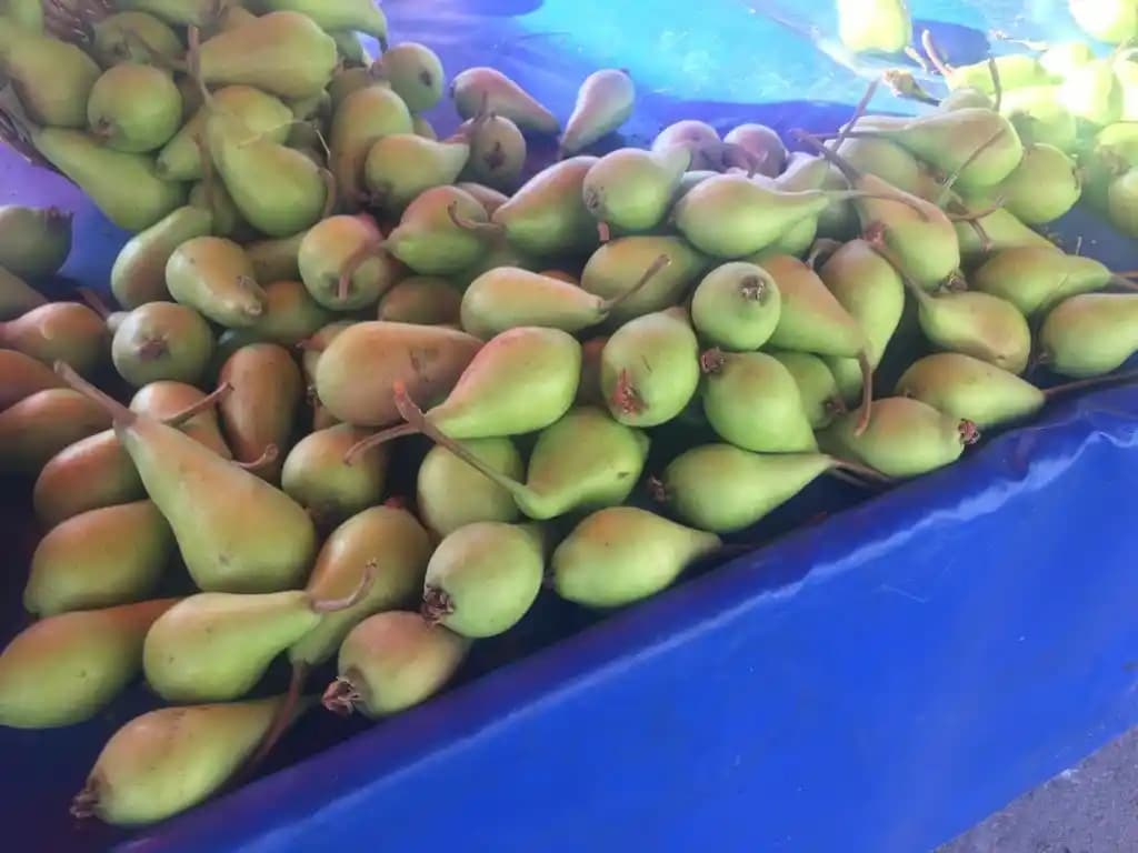 Armut Fiyatları ve Tüketici Rehberi: Güncel Durum ve Ekonomik Alışveriş İpuçları