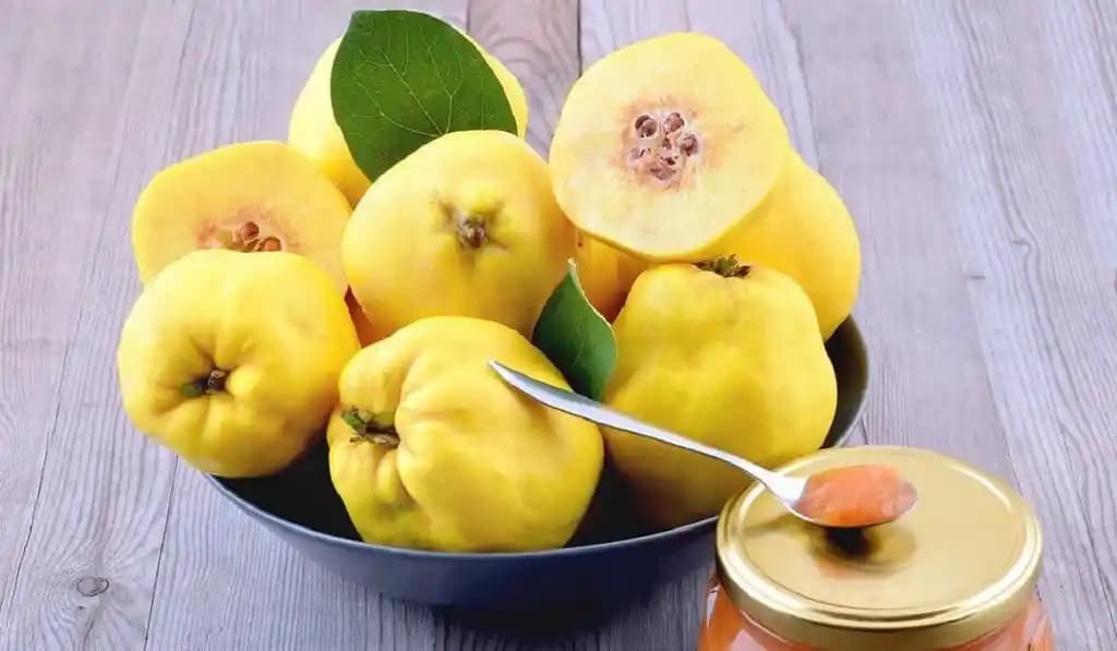 Ayva: Sağlıklı ve Lezzetli Kış Meyvesi Özellikleri ve Faydaları