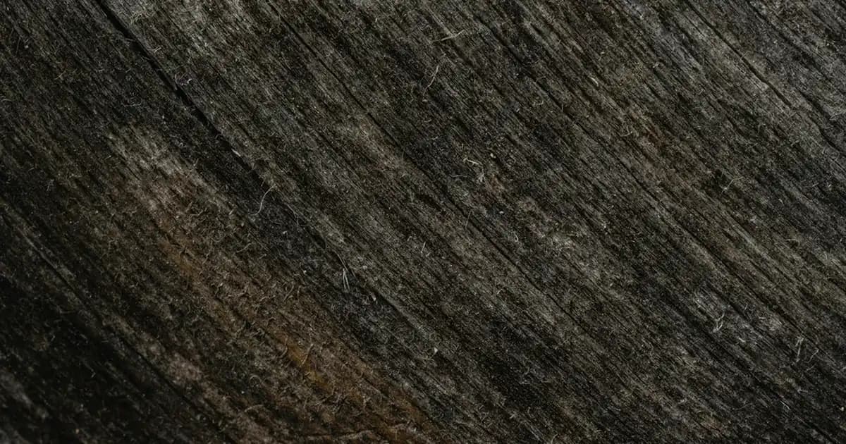 Balsamik Sirke Nedir ve Sağlık ile Mutfaktaki Kullanım Fırsatları