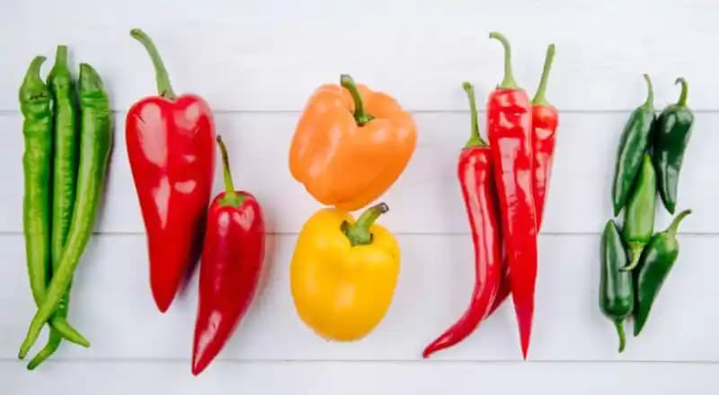 Biber Çeşitleri ve Marketlerde Satın Alma İpuçları: Renkli ve Lezzetli Seçenekler