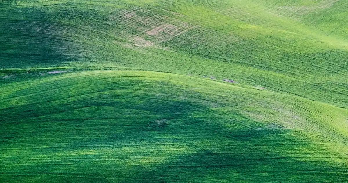 Boron İçeren Bulaşık Makinesi Deterjanları: Güvenilir ve Etkili Temizlik Seçenekleri