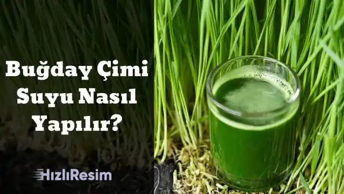 Buğday Çimi Suyunun Sağlık Faydaları ve Güncel Kullanım Alanları