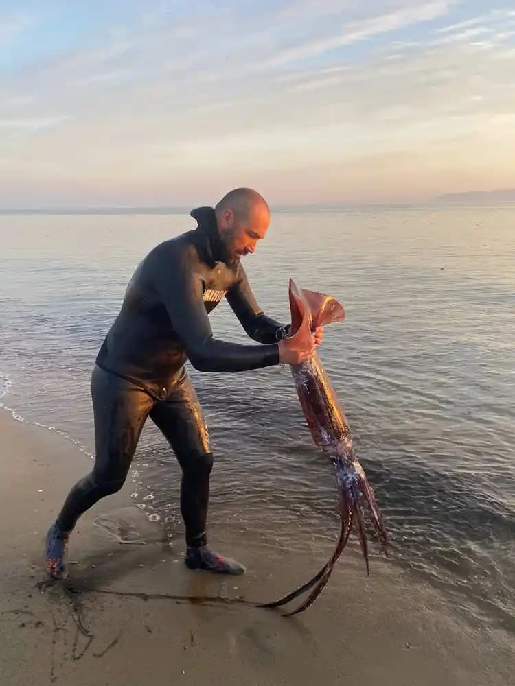 Büyük Kalamar Nedir ve Gastronomideki Yeri Hakkında Detaylı Bilgi