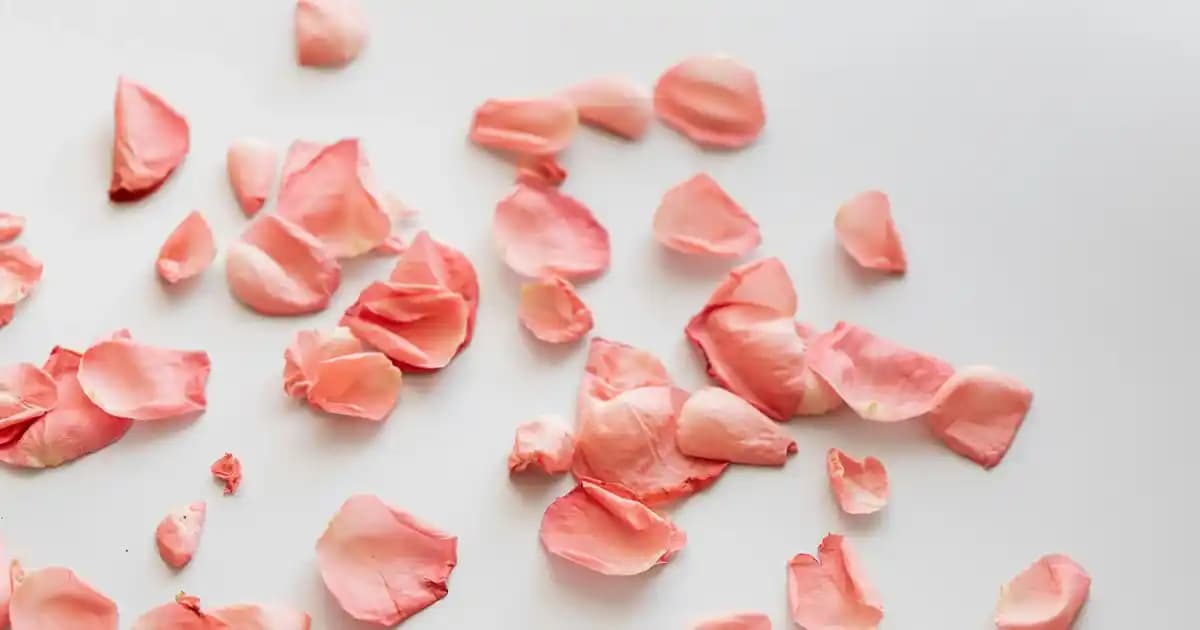 Carrefour'da A4 Kopya Bondu Nasıl ve Nereden Uygun Fiyatla Temin Edilir