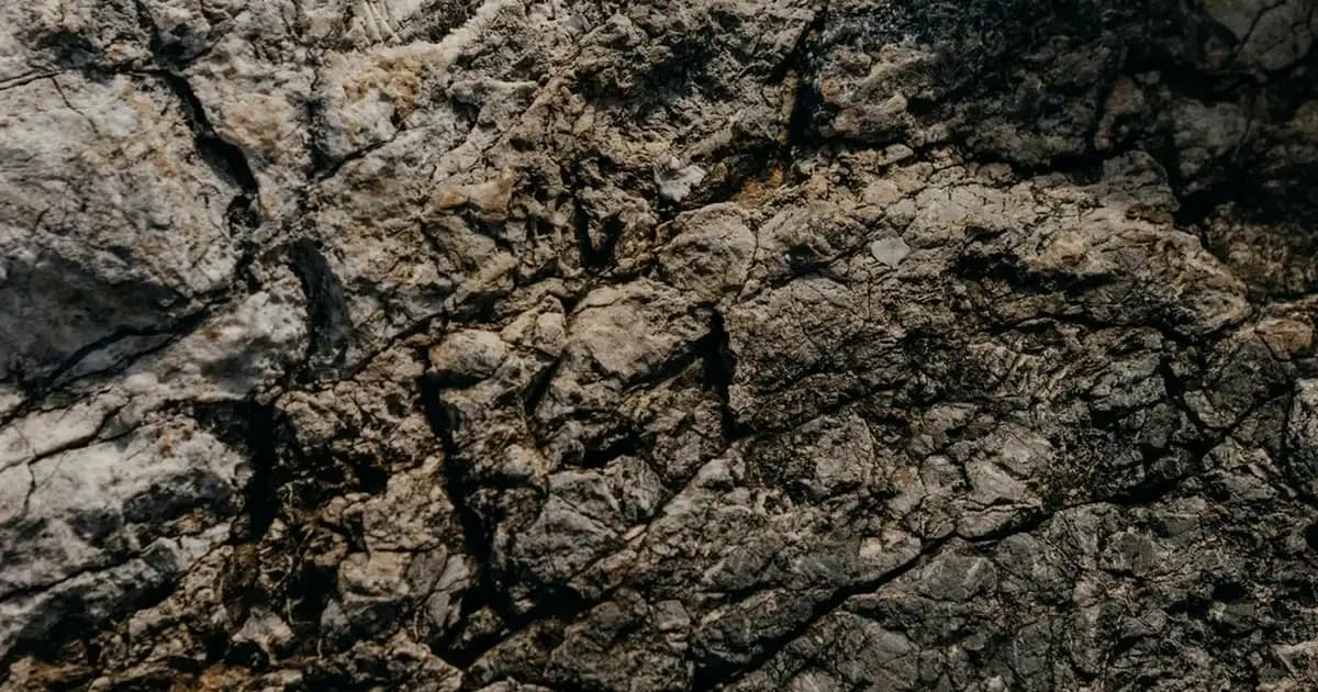 Çaykur Altınbaş Bergamotlu Demlik Poşet ile Pratik ve Aromatik Çay Keyfi
