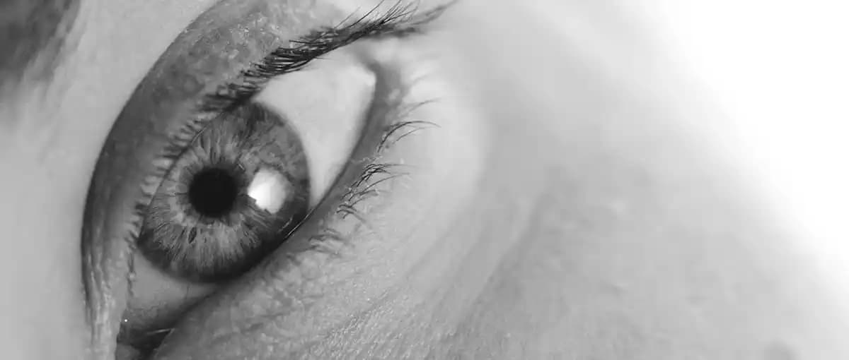 Closeup Diş Macunu: Ferahlatıcı ve Koruyucu Özellikleriyle Marketlerdeki Yeri