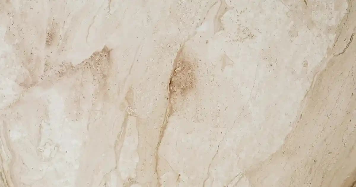 Conchiglioni Makarnanın Özellikleri ve Yaratıcı Tariflerle Kullanım İpuçları
