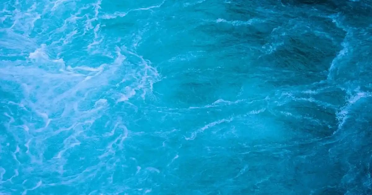 Elektrikli Oda Kokuları ile Evinizde Ferah ve Hoş Bir Atmosfer Yaratma Rehberi
