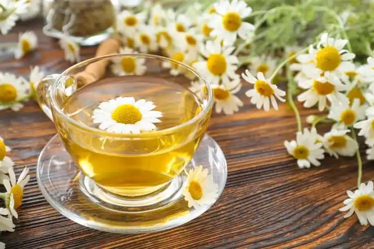 Emzirirken Papatya Çayı Kullanımı: Güvenlik ve Faydaları Hakkında Bilmeniz Gerekenler