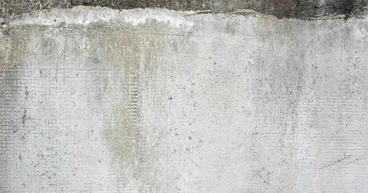 En İyi Kedi Malt Macunu Seçimi: Kedinizin Sağlığı İçin Doğru Tercih Rehberi