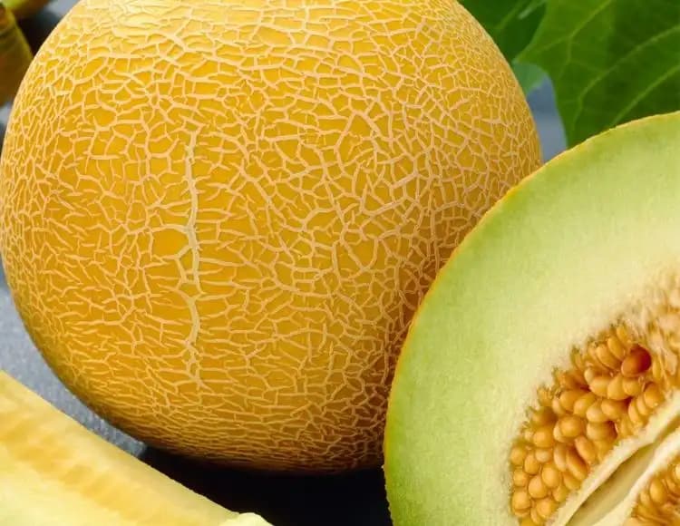 Galya Kavunu Nedir Sağlıklı ve Lezzetli Bir Yaz Meyvesi Seçeneği