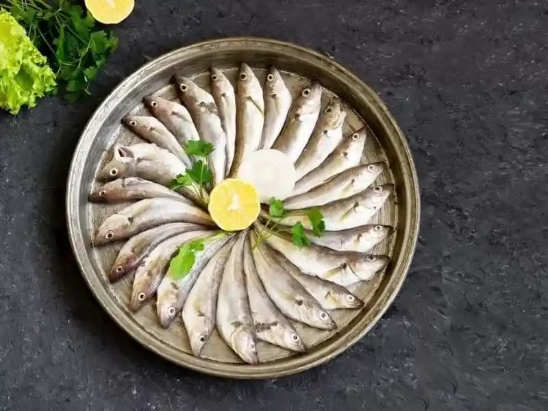 Karadeniz Mezgit: Tazeliği ve Lezzetiyle Öne Çıkan Balık Seçenekleri ve Pişirme İpuçları