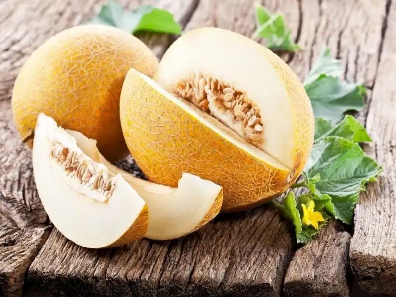 Kavun İçinin Sağlığa Faydaları ve Tüketim Önerileri
