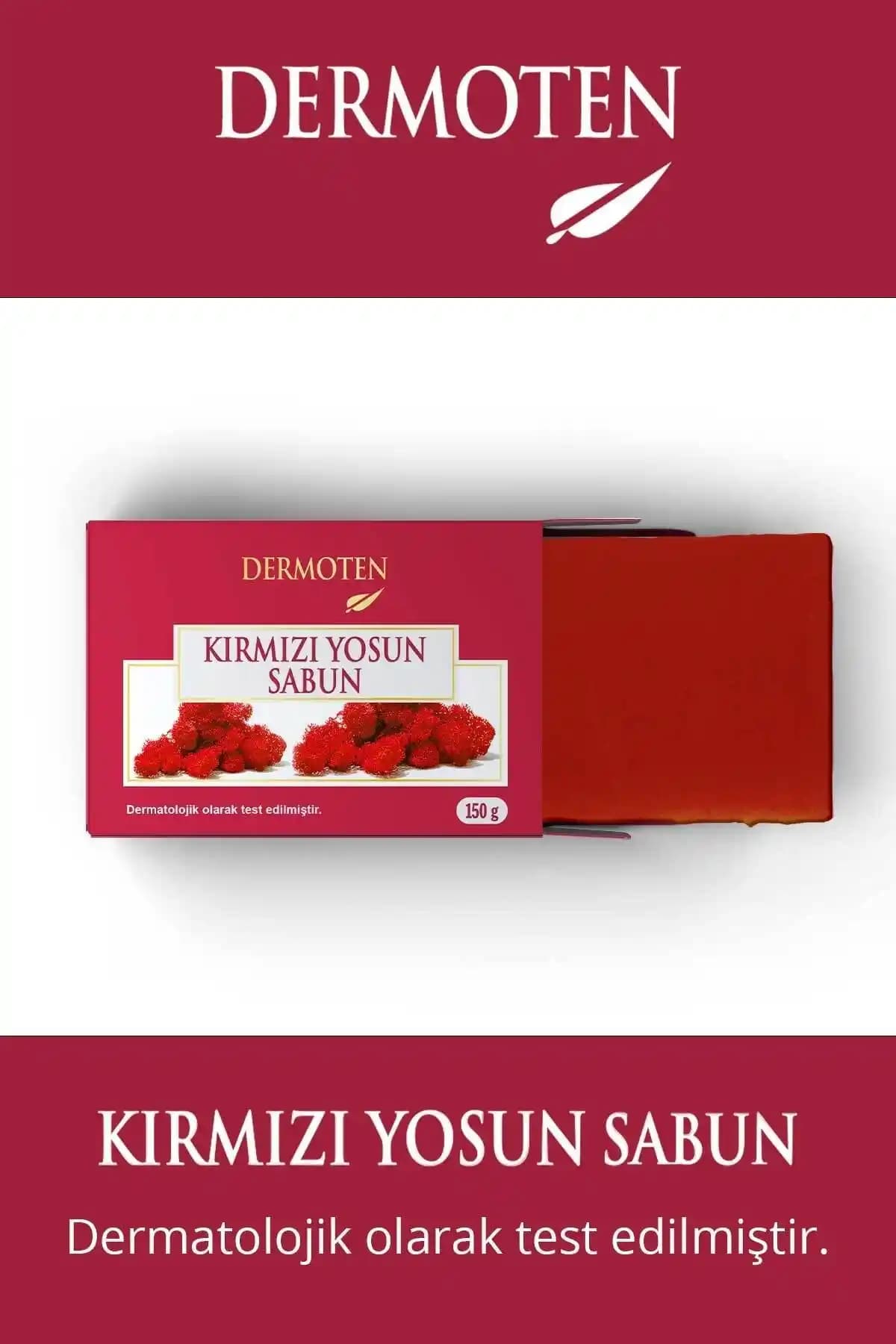 Kırmızı Yosun Nedir ve Denizlerin Gizemli Renkli Dünyasında Önemi Nedir?