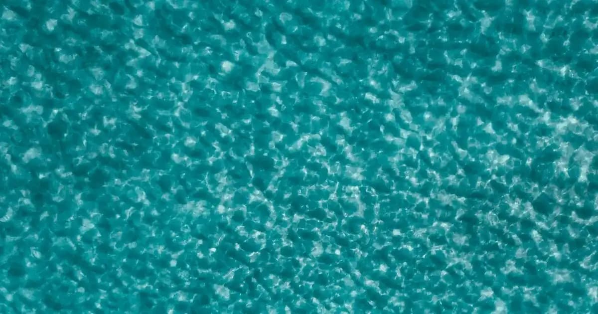 Kotex Normal ile Günlük Hijyen ve Konforu Artıran Güvenilir Seçenekler