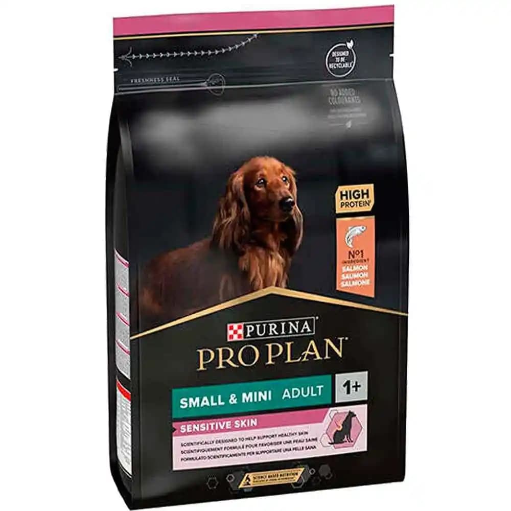 Küçük Irk Köpekler İçin En İyi Mama Seçenekleri ve Sağlıklı Beslenme İpuçları