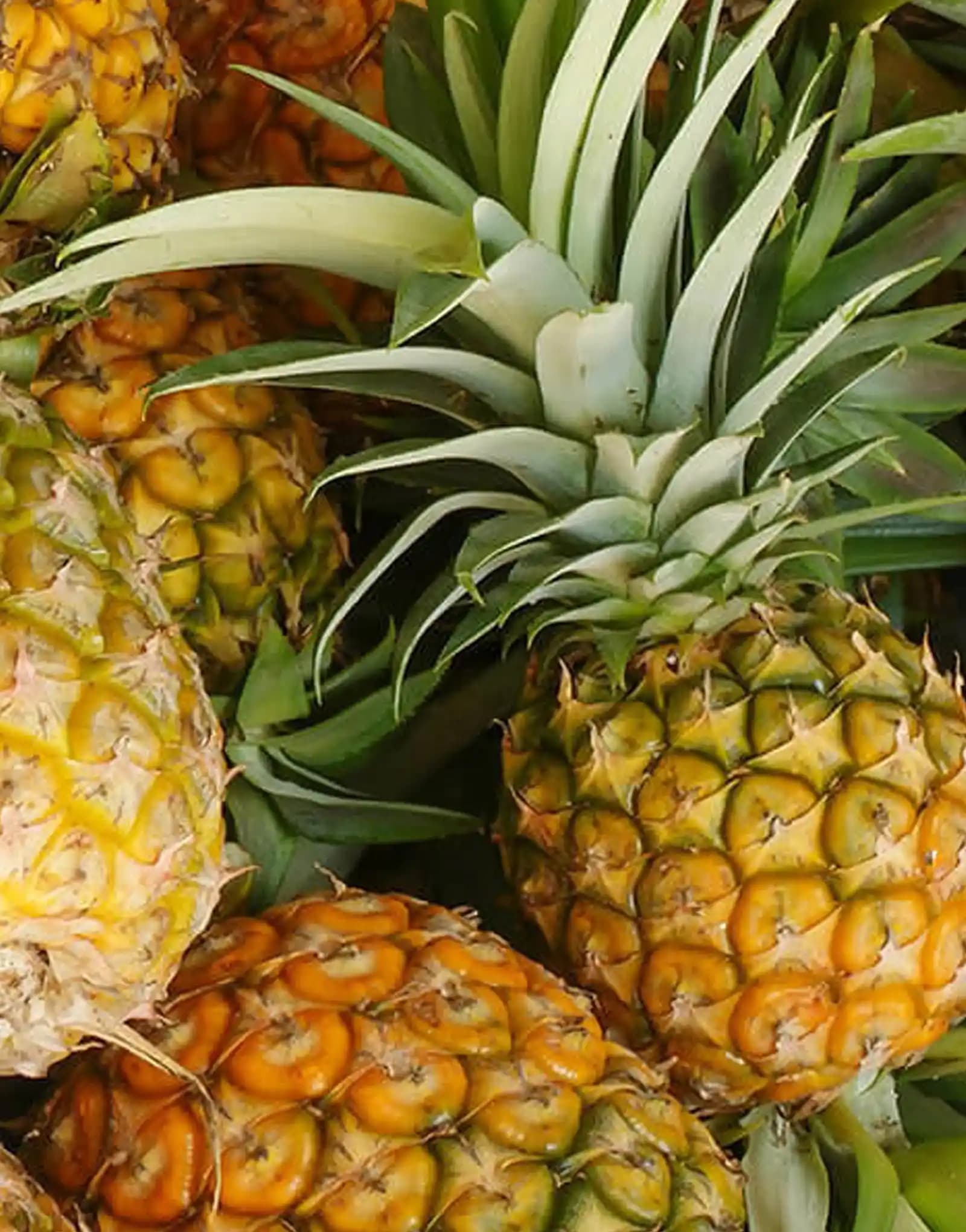 Marketlerde Ananas Seçimi ve Kullanımı Hakkında Kapsamlı Bilgi Rehberi