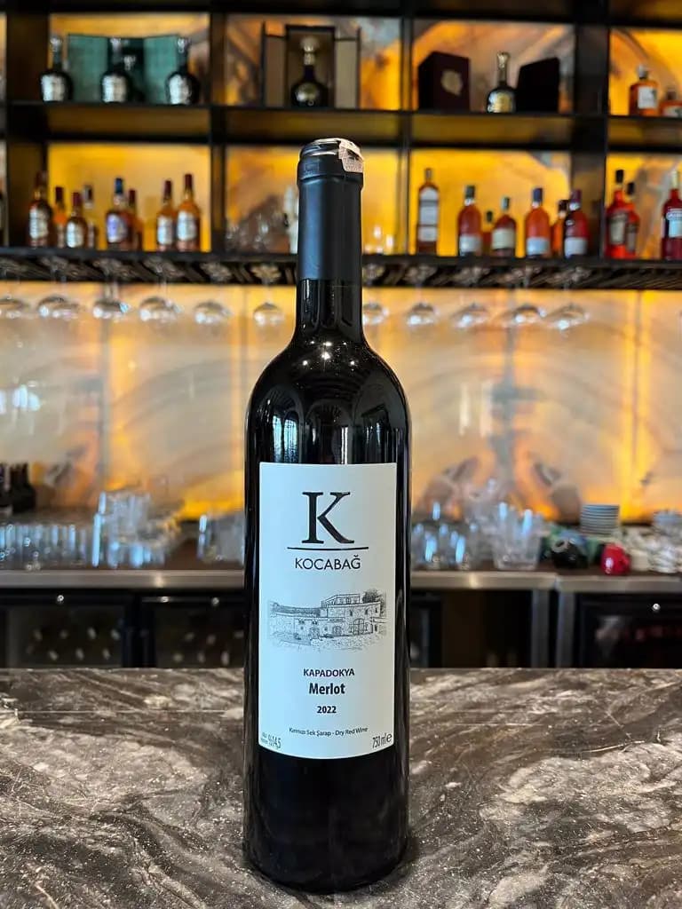 Merlot Kırmızı Şarap Özellikleri ve Uyum Sağlayan Lezzetler Hakkında Kapsamlı Bilgi