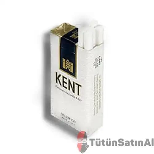 Mini Sigara Nedir, Neden Popüler ve Sağlık Üzerindeki Etkileri Nelerdir