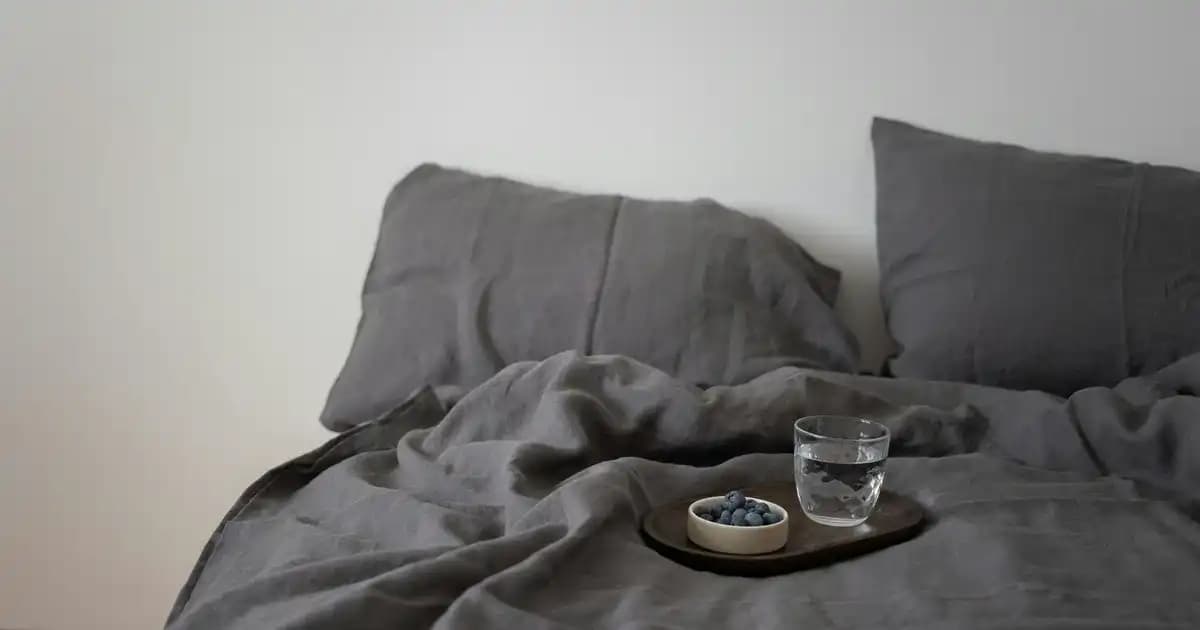 Mycey Toz Mama Kabı: Sağlıklı ve Dayanıklı Evcil Hayvan Mama Kabı Seçenekleri