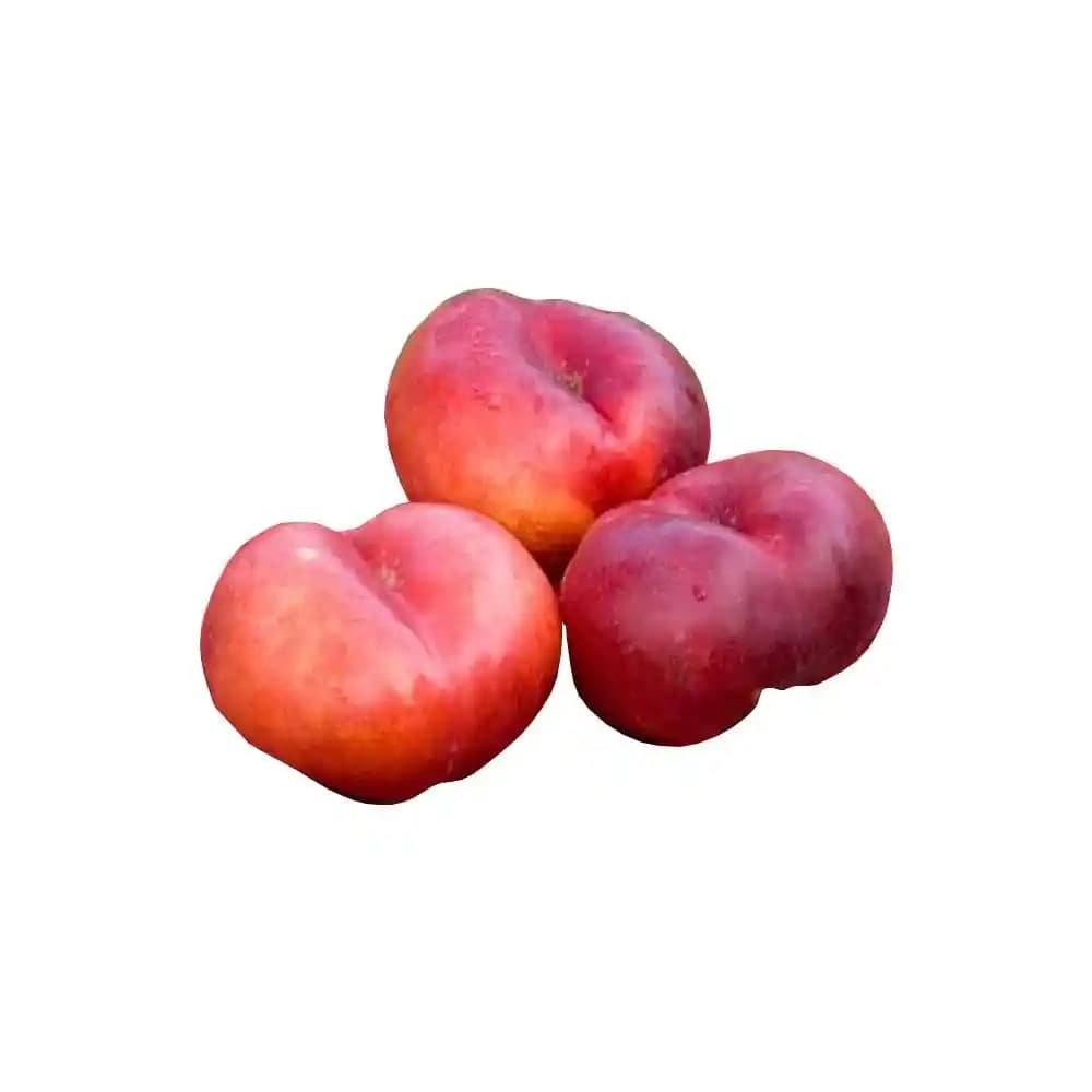 Nektari Meyvesi: Sağlık ve Lezzet İçin Doğal Bir Atıştırmalık Seçeneği