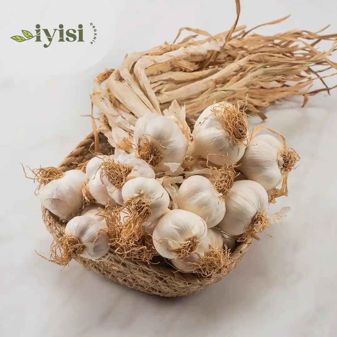 Organik Sarımsak Nedir ve Sağlık Faydaları Nelerdir