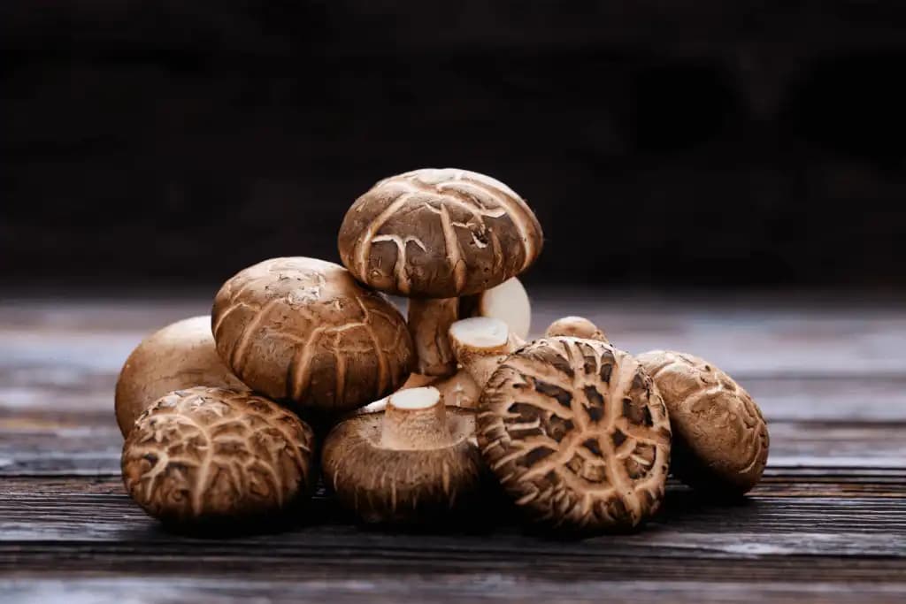 Shiitake Mantarı Nedir? Sağlıklı ve Lezzetli Alternatifler Hakkında Bilgi