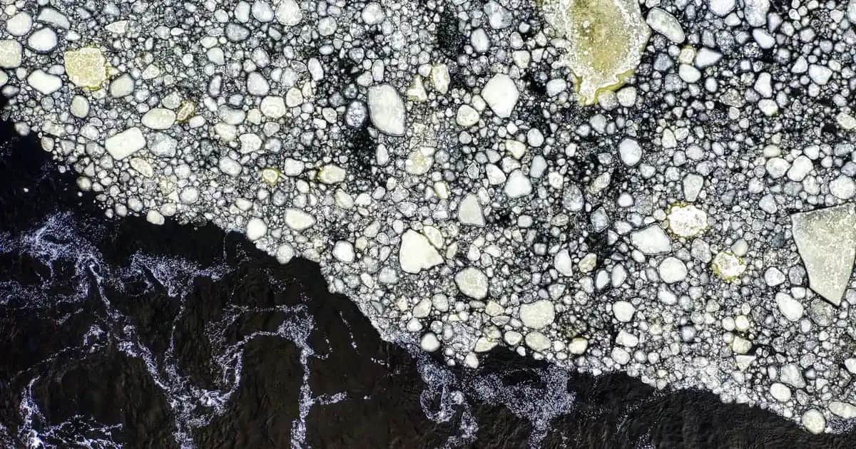 Sigara ve Tütün Ürünleri Satın Alırken Dikkat Edilmesi Gerekenler ve Güvenilirlik İpuçları