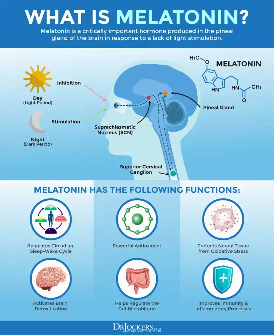 Solgar Melatonin Kullanımı ve Yan Etkileri: Güvenli ve Doğru Kullanım Rehberi