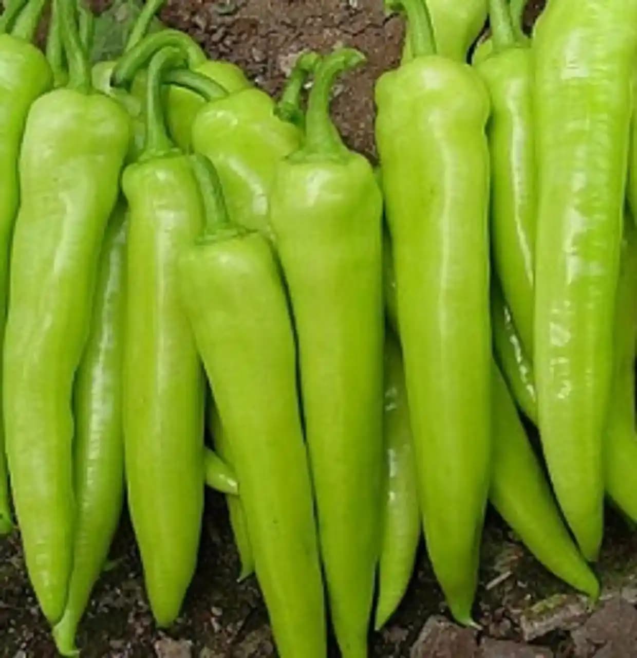 Süpermarketlerde Güncel Trendler ve Yenilikçi Alışveriş Çözümleri