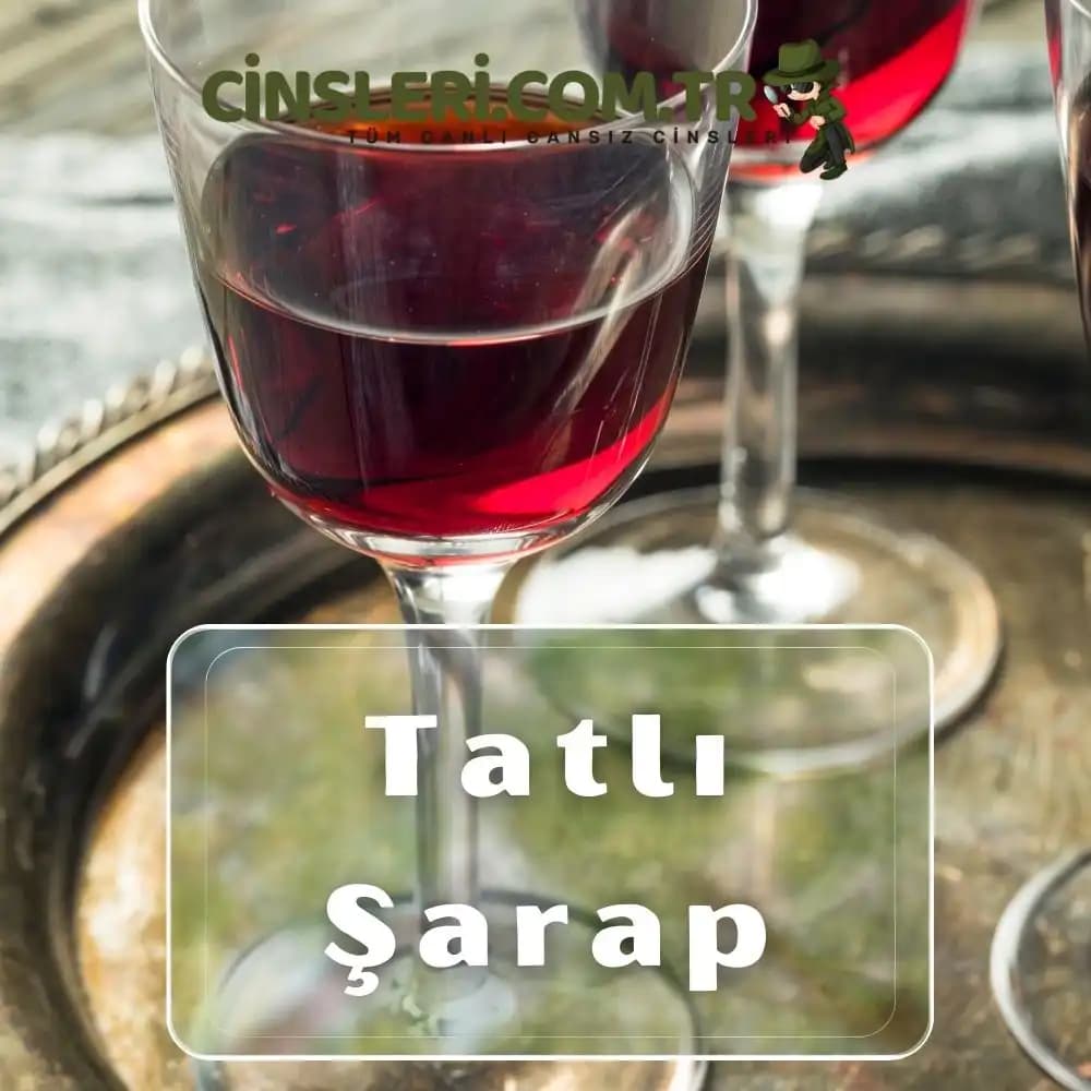 Tatlı Şaraplar: Çeşitleri, Üretim Süreçleri ve Uyum Önerileri Hakkında Kapsamlı Bilgi