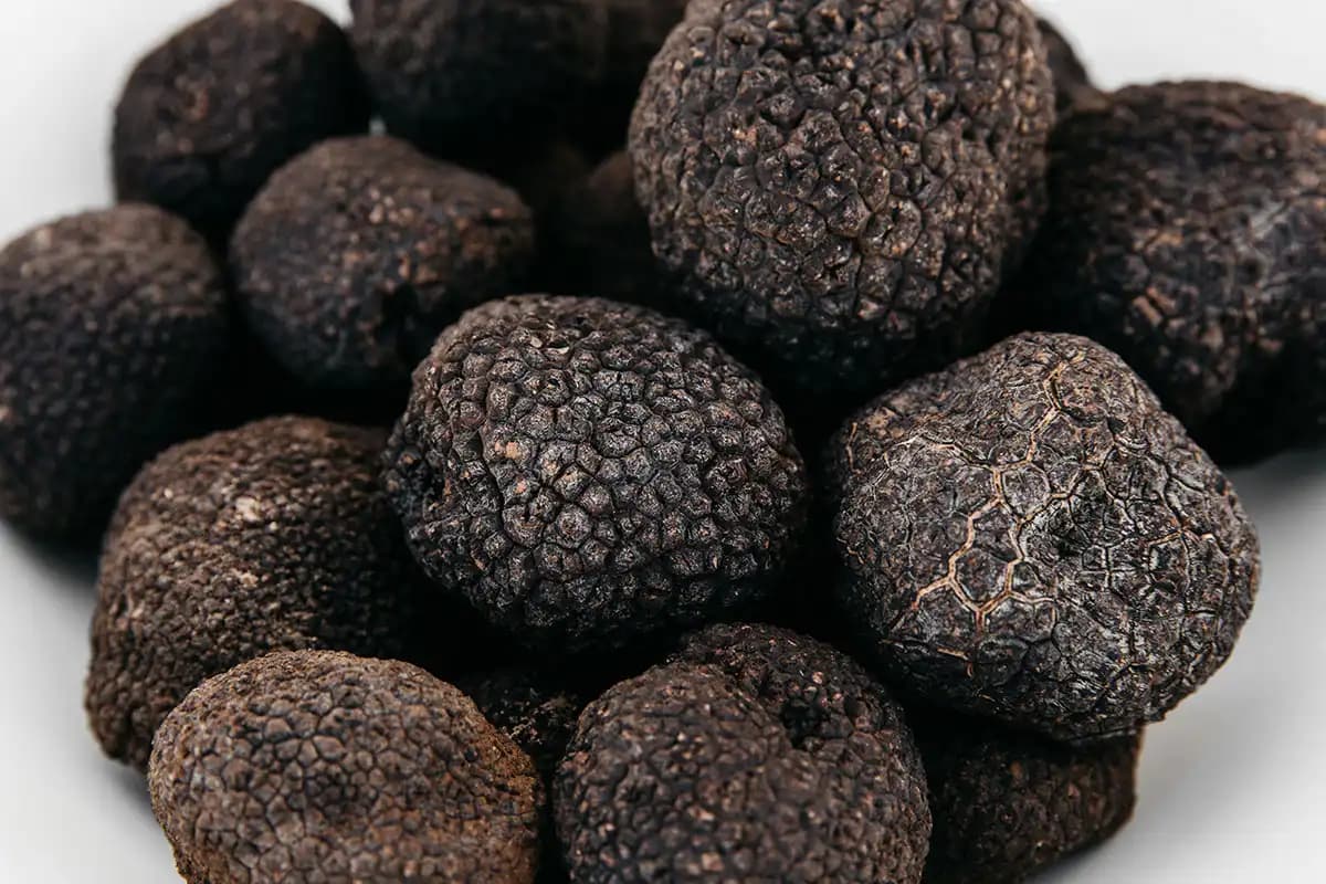 Trüf Mantarı ve Gastronomideki Yeri: Lüks, Gizemli ve Benzersiz Aromasıyla Değerli Bir Malzeme