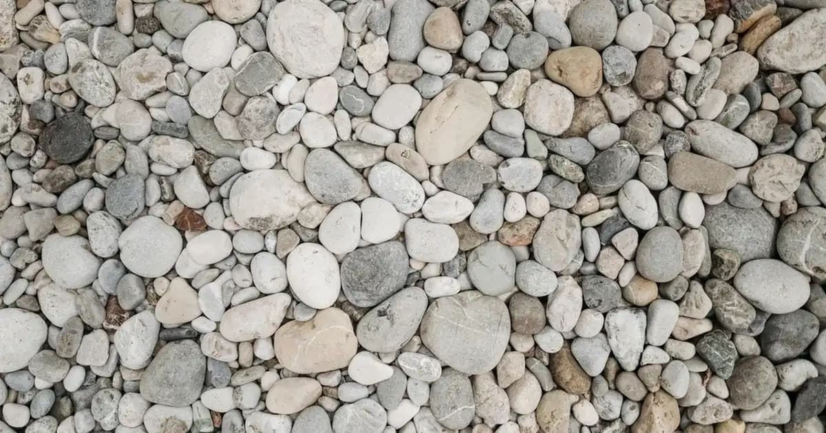 Türkiye’nin En Güvenilir Bebek Maması Seçenekleri ve Alırken Dikkat Edilmesi Gerekenler