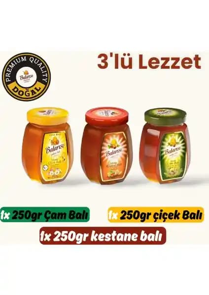 Balarısı 3'lü Lezzet Balı Seti Kestane, Çiçek ve Çam Balı Saf Doğal Tatlar