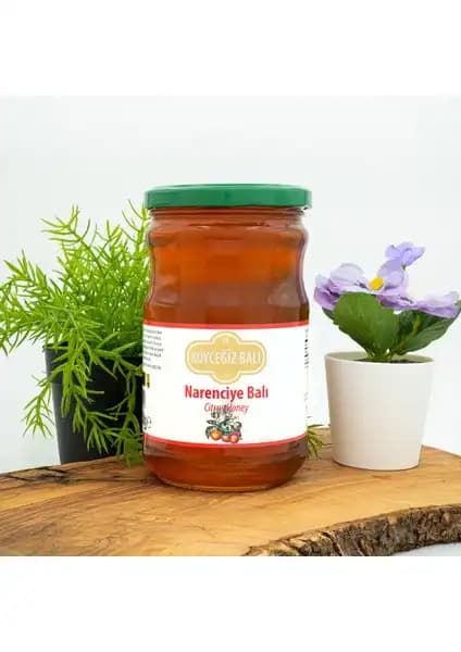 Köyceğiz Narenciye Balı: Doğal ve Yüksek Kaliteli Portakal Çiçeği Aromalı Bal