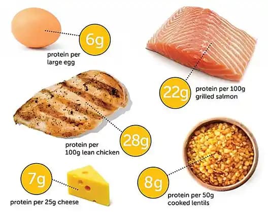 100 Gram Tavuk Eti Protein İçeriği ve Beslenmedeki Önemi Üzerine Analiz