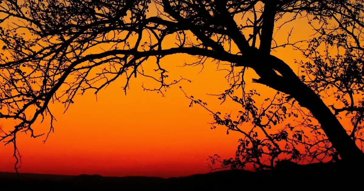 Apache Camel ile JSON ve Finansal Mesaj Dönüşümlerinde Entegrasyon Çözümleri